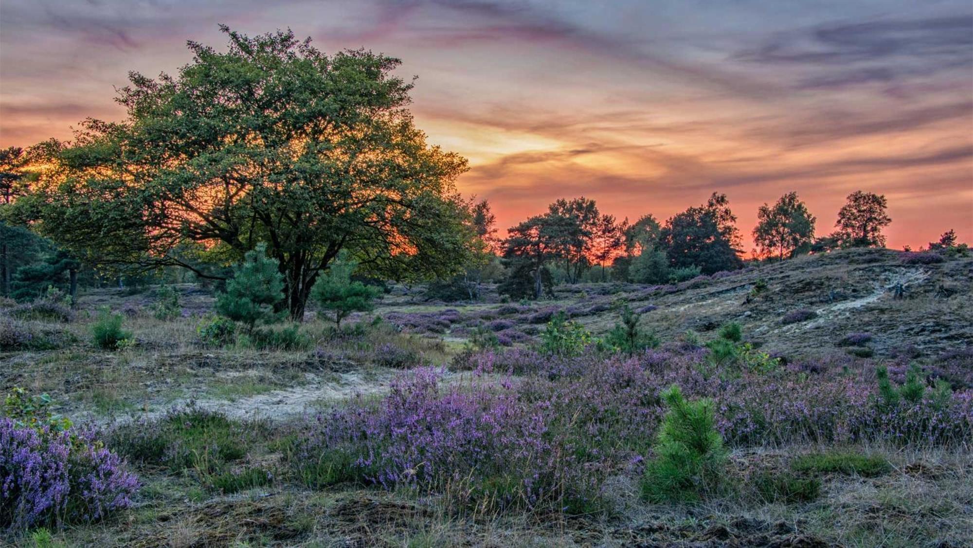 Leersum Molecaten Park Landgoed Ginkelduin מראה חיצוני תמונה